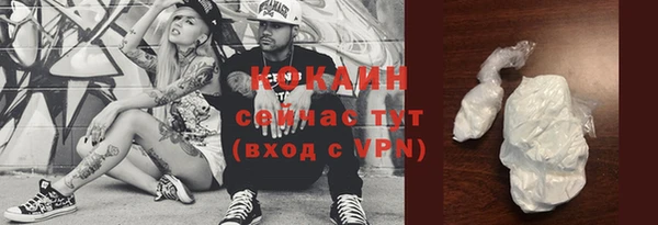 дмт Гусь-Хрустальный