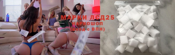 крисы Гусев