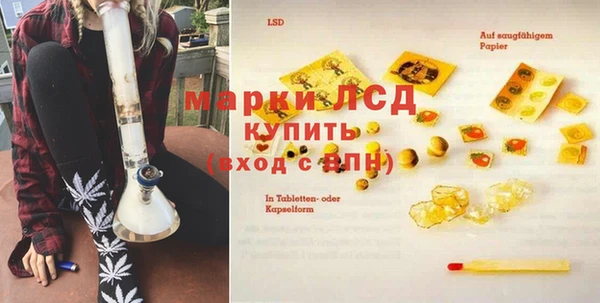 крисы Гусев