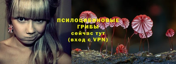 крисы Гусев