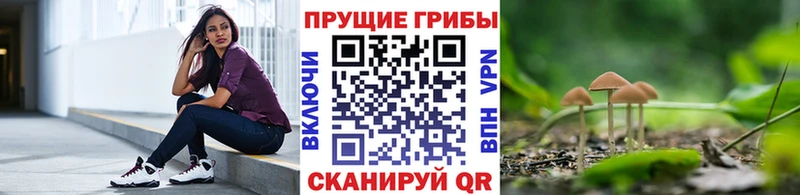 Купить закладки  Сенгилей  Псилоцибиновые грибы мицелий 